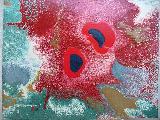 look-whos-looking-50x65cm.jpg