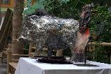 IMG_0334.CR2.jpg