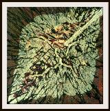 Empty as a NORK grocery shop